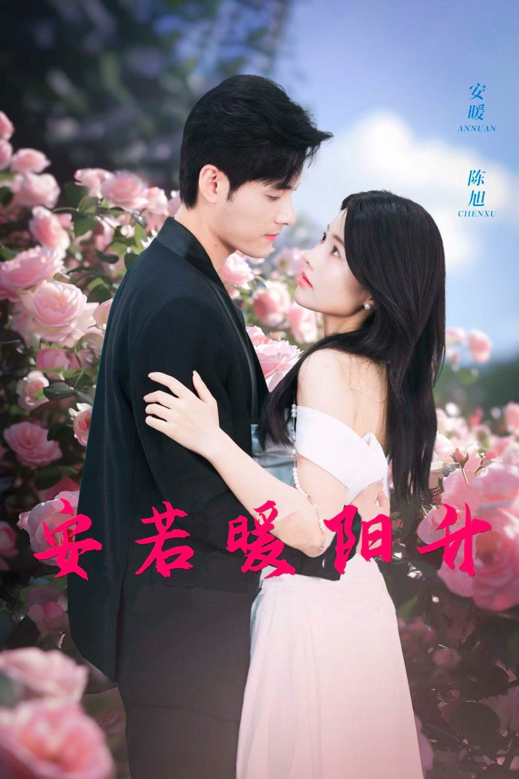 安若暖阳升第01-20集