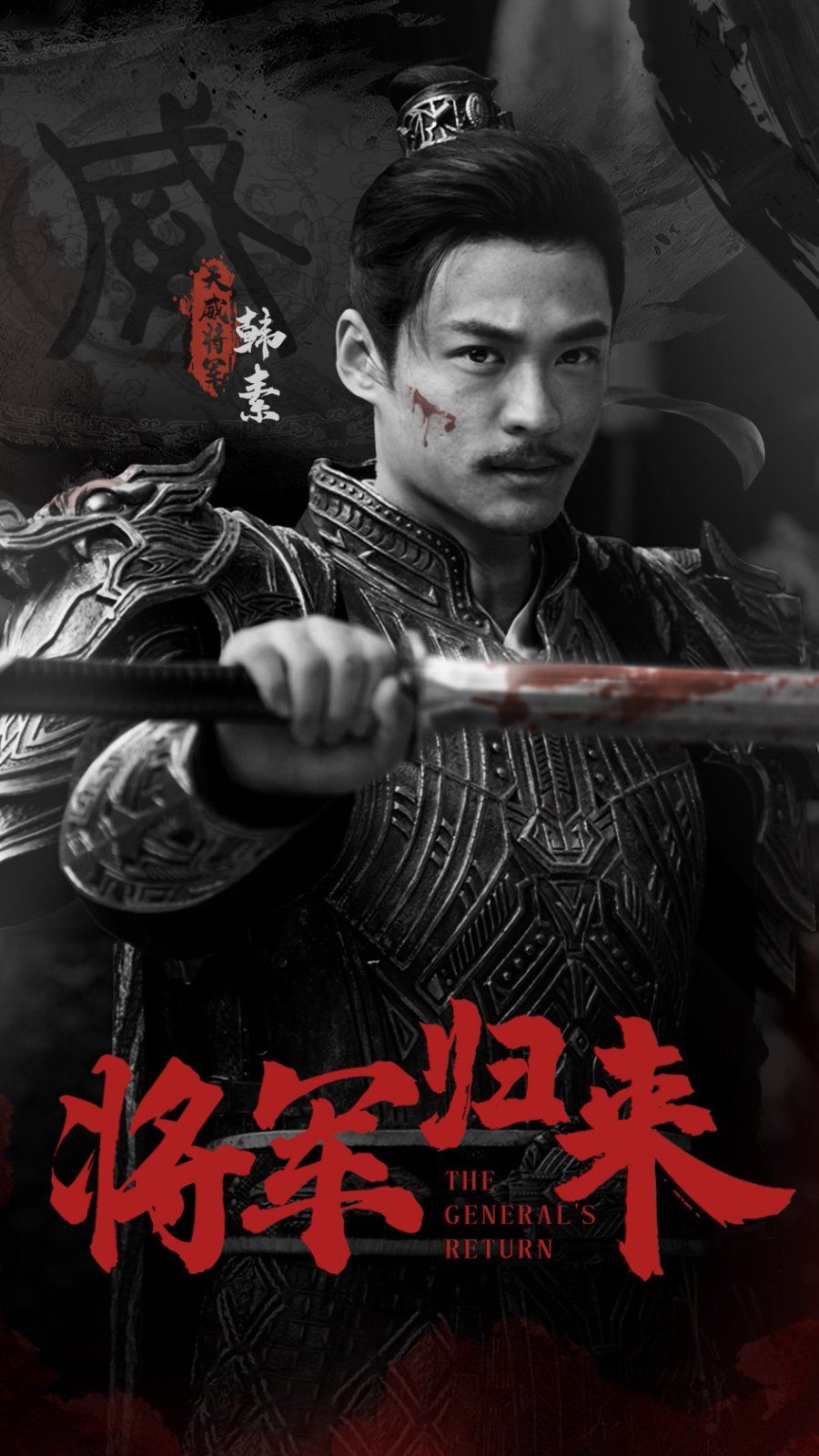 将军归来第01-30集