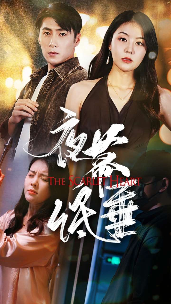 夜幕低垂全集完结(大结局)