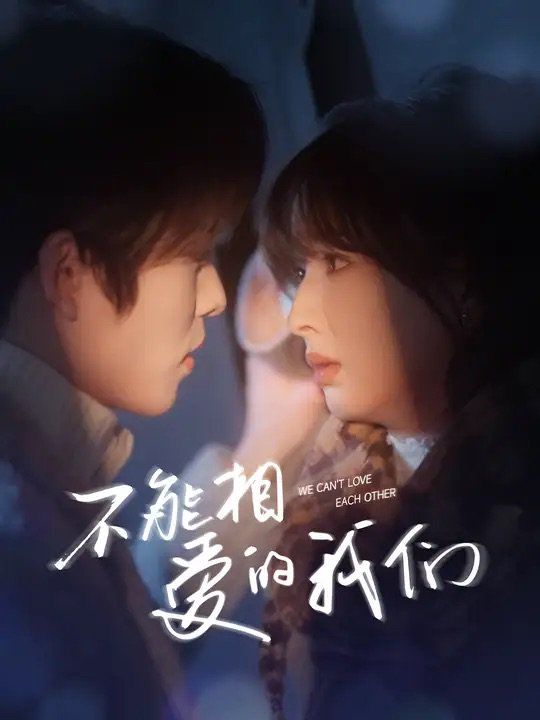 不能相爱的我们第01-30集
