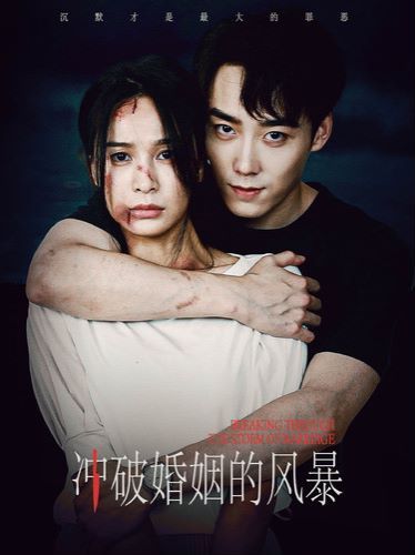 冲破婚姻的风暴第02集