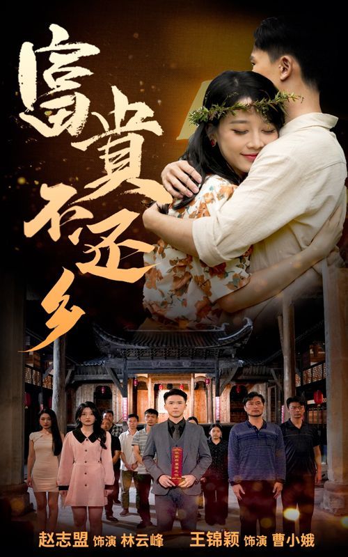 富贵不还乡第01-30集