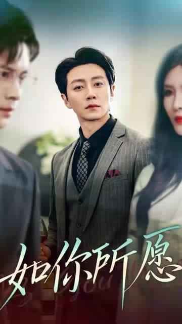如你所愿第1-30集