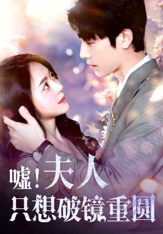嘘夫人只想破镜重圆第1-20集