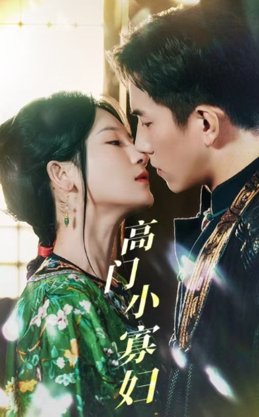 高门小寡妇第01-30集