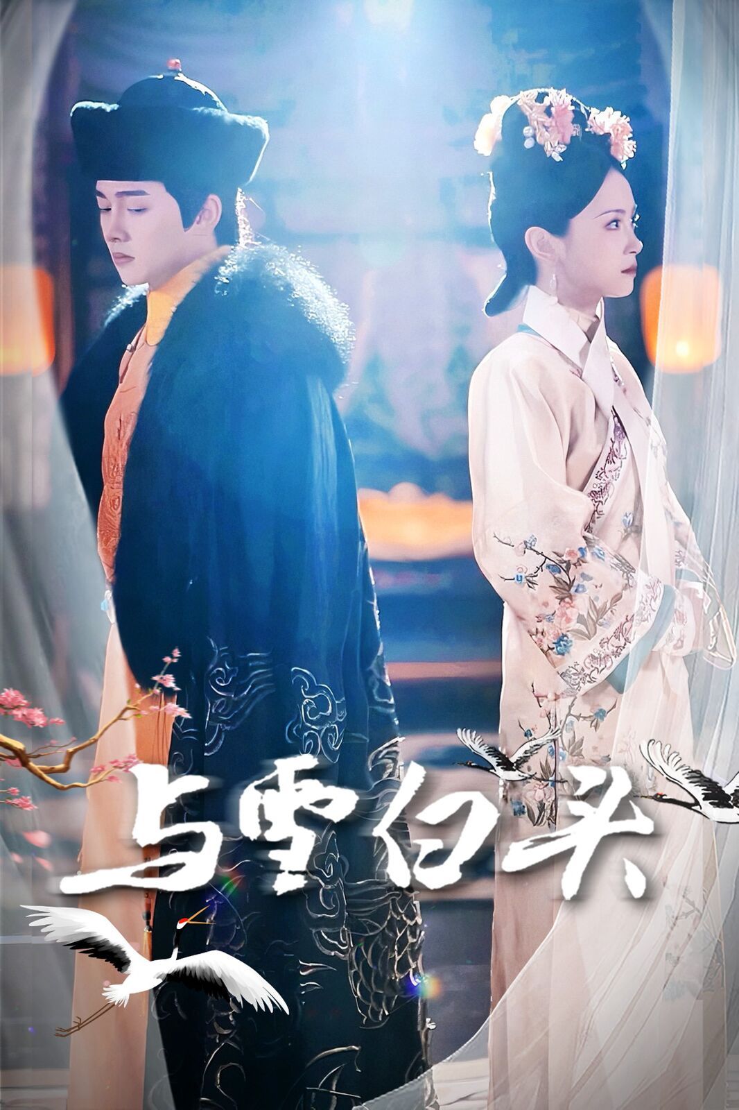 与雪白头第1-20集