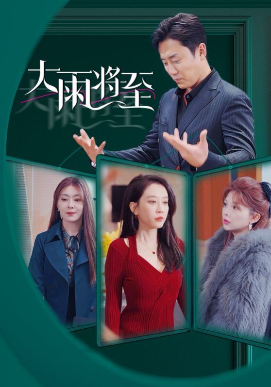 大雨将至第01-20集