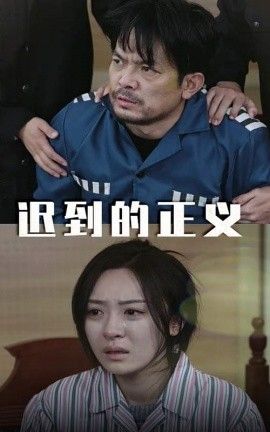 迟到的正义第01-20集