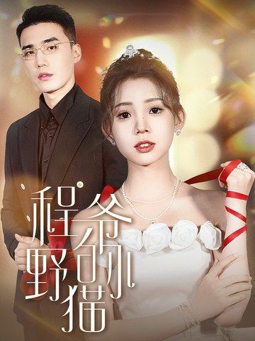 程爷的小野猫全集完结