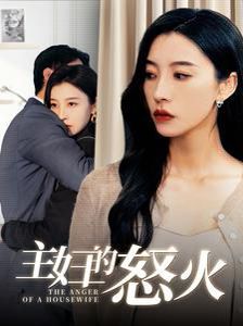 主妇的怒火第01-30集