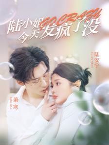 陆小姐今天发疯了没第1-20集