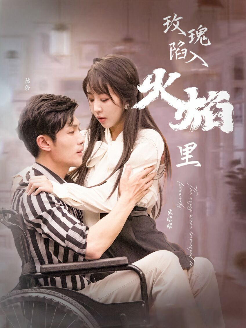 新玫瑰陷入火焰里第41-60集