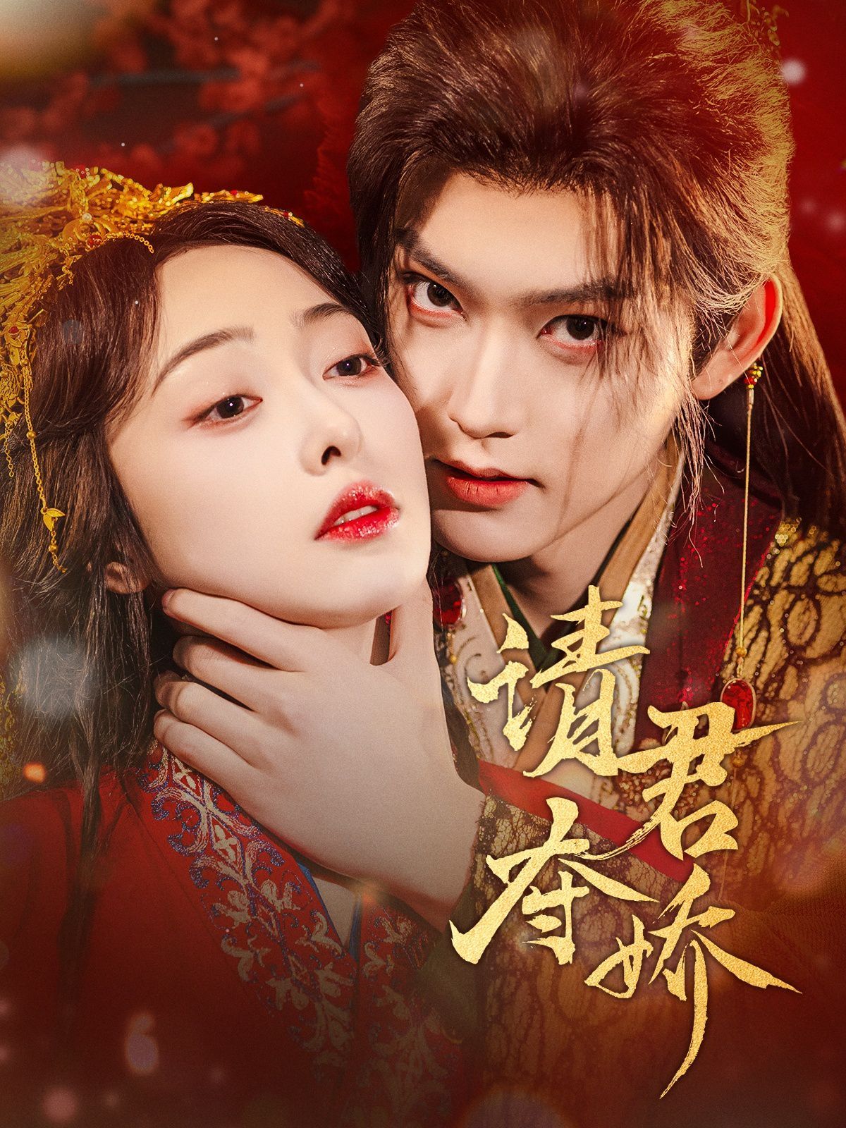 请君夺娇第01-30集