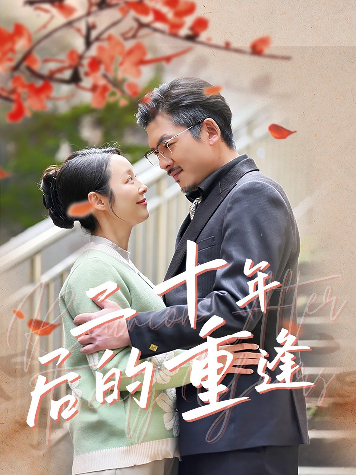 二十年后的重逢第01-30集