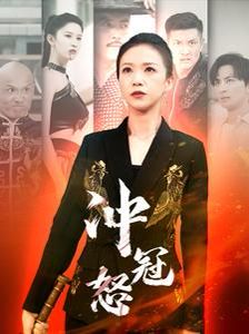 冲冠怒第31-60集