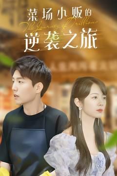 菜场小贩的逆袭之旅第41-60集